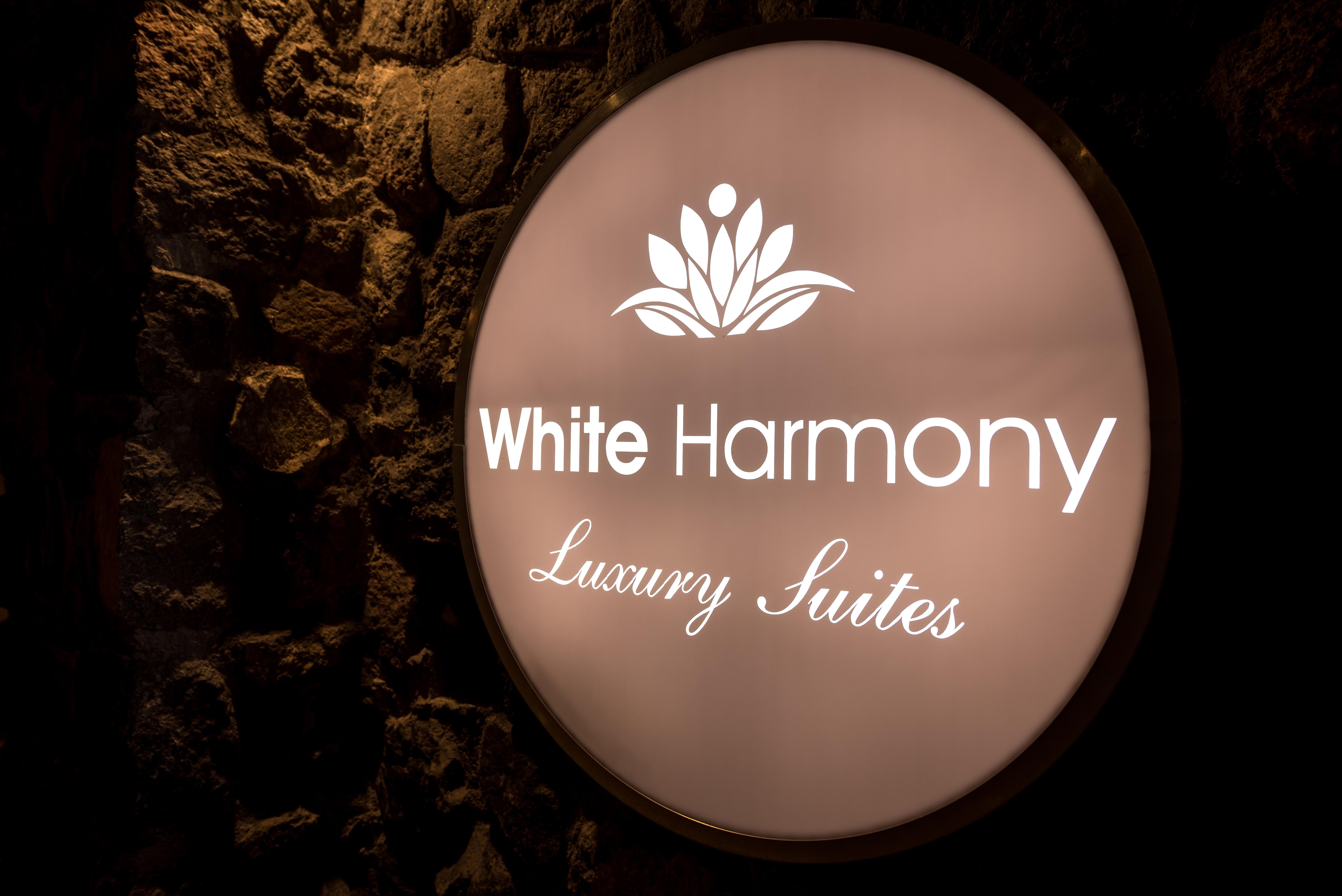 White Harmony Suites Megalochori  Eksteriør billede