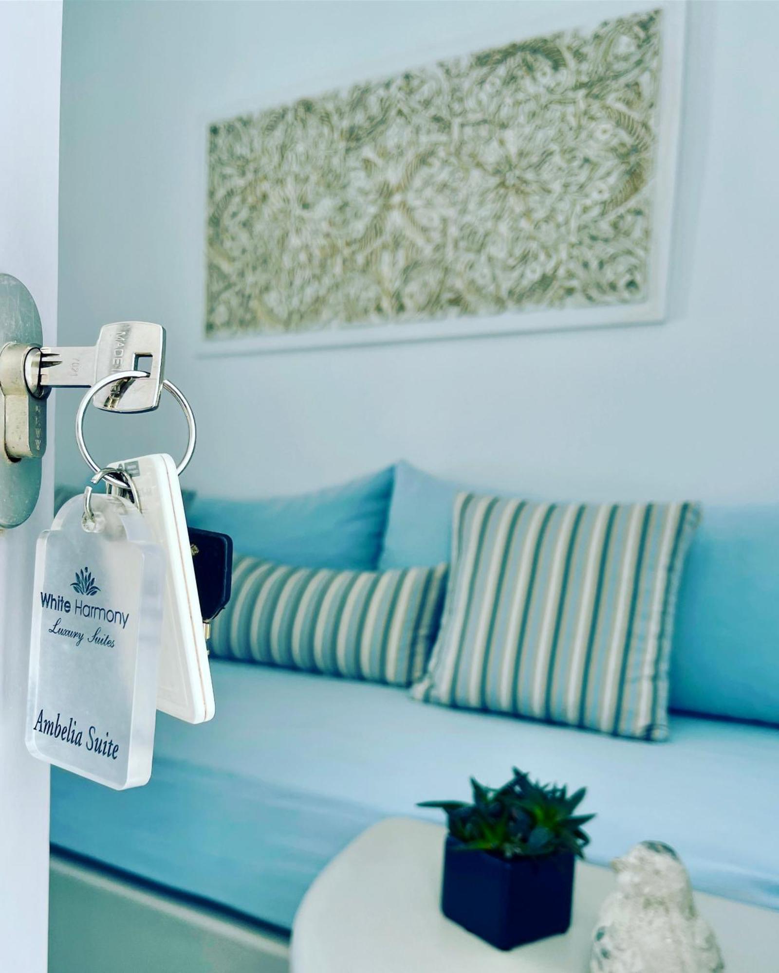 White Harmony Suites Megalochori  Eksteriør billede